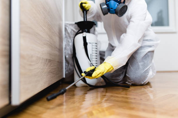 Best Pest Control Near Me  in Camden, AL