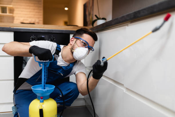 Best Best Pest Control Companies  in Camden, AL
