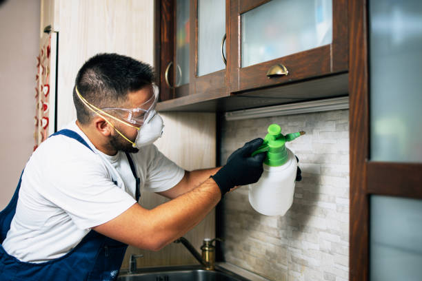 Best Wildlife Control Services  in Camden, AL