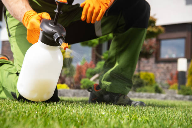 Best Pest Control Near Me  in Camden, AL