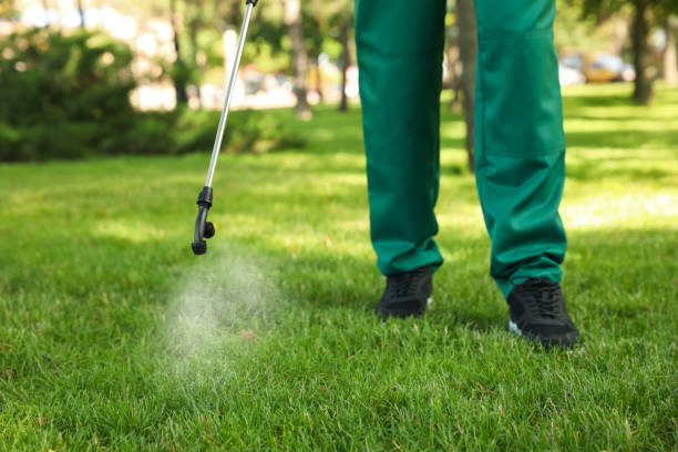 Best Best Pest Control Companies  in Camden, AL