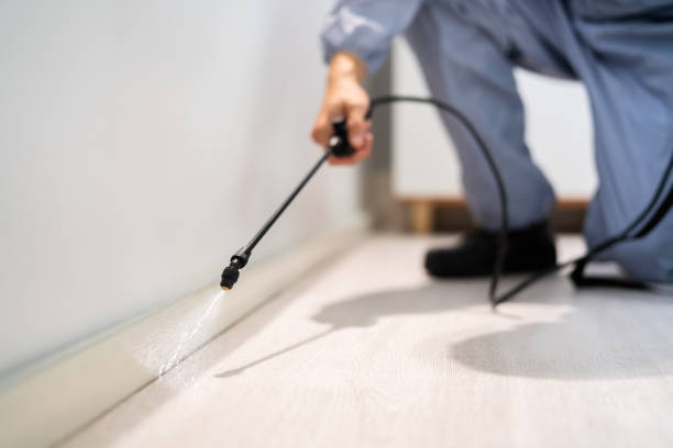 Best Local Pest Control Services  in Camden, AL