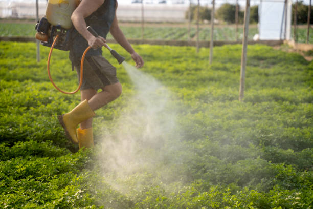Best Insect Control  in Camden, AL