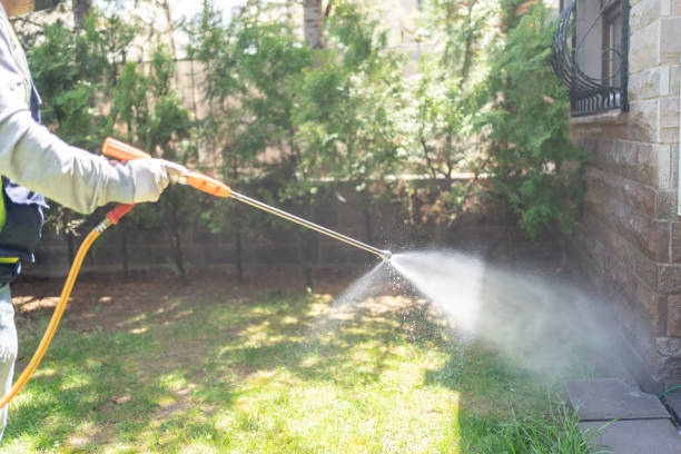 Reliable Camden, AL Pest Control Solutions