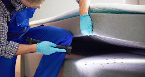 Best Ant Control Services  in Camden, AL