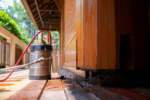 Best Mosquito Control Services  in Camden, AL