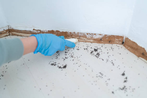 Best Pest Control Treatment  in Camden, AL