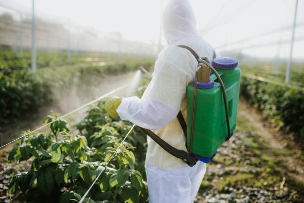 Best Bed Bug Extermination  in Camden, AL